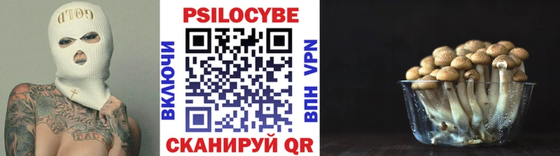 Псилоцибиновые грибы Magic Shrooms  Дятьково 