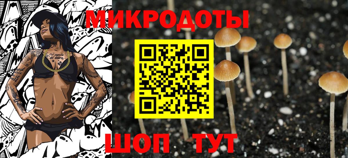 Псилоцибиновые грибы Cubensis  Вход с VPN  Дятьково 